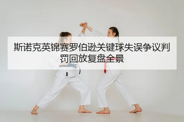 si-nuo-ke-ying-jin-sai-luo-bo-xun-guan-jian-qiu-shi-wu-zheng-yi-pan-fa-hui-fang-fu-pan-quan-jing-2-733.jpg