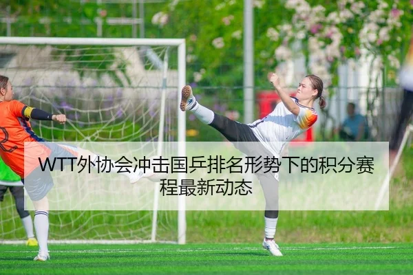 WTT外协会冲击国乒排名形势下的积分赛程最新动态